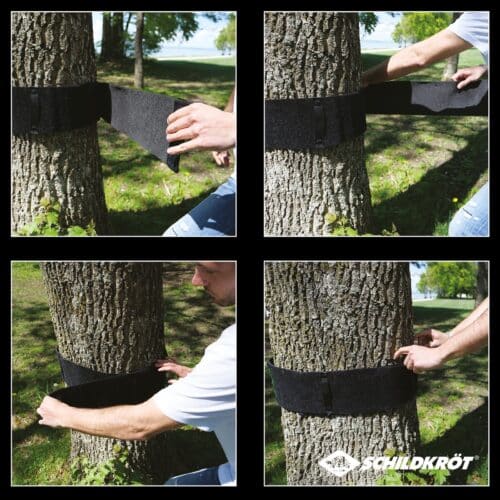 Treewear-PT03