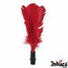 indiaca-replacement-feathers