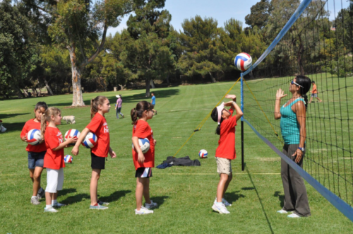 Screenshot-2026-02-10-161335