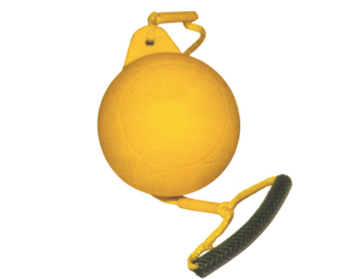 Screenshot-2026-02-11-183531