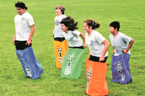 Screenshot-2026-02-12-144604