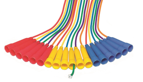 Screenshot-2026-02-12-181911