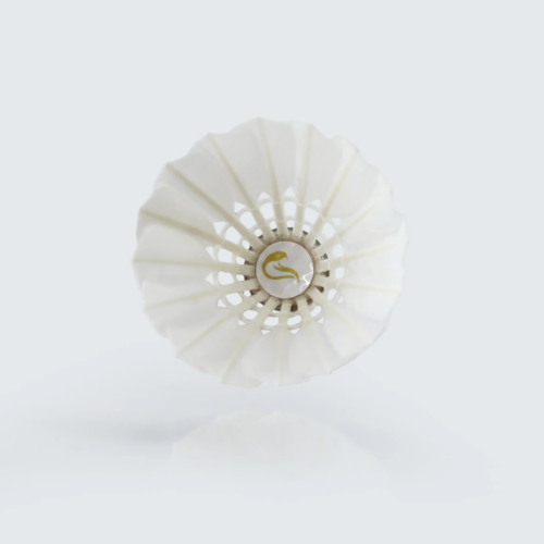 Krait-sulgpallid-77-1